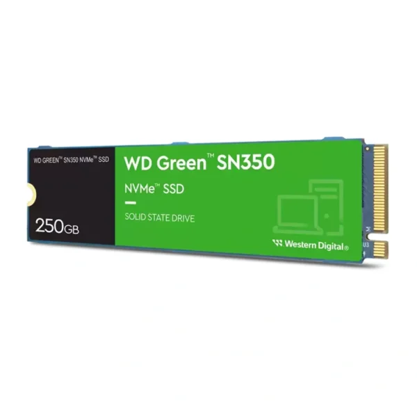 WDS250G2G0C 1 1000x1000 1